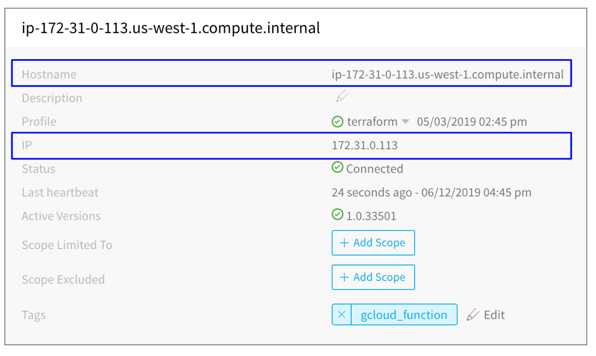 A screenshot of the hostname and IP.